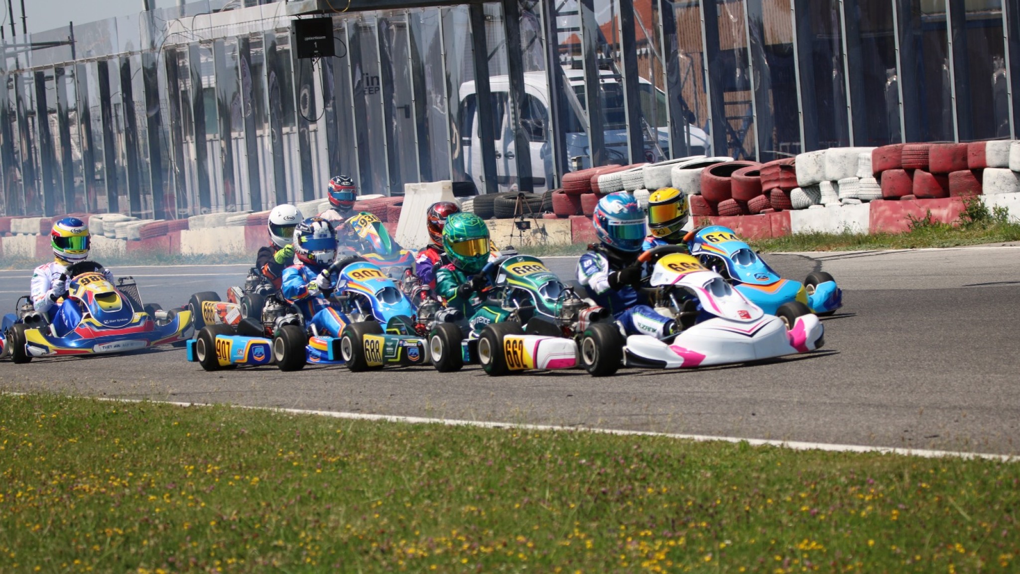 rok bruck2026 petricia