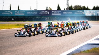 COTFA ASPAR 01732